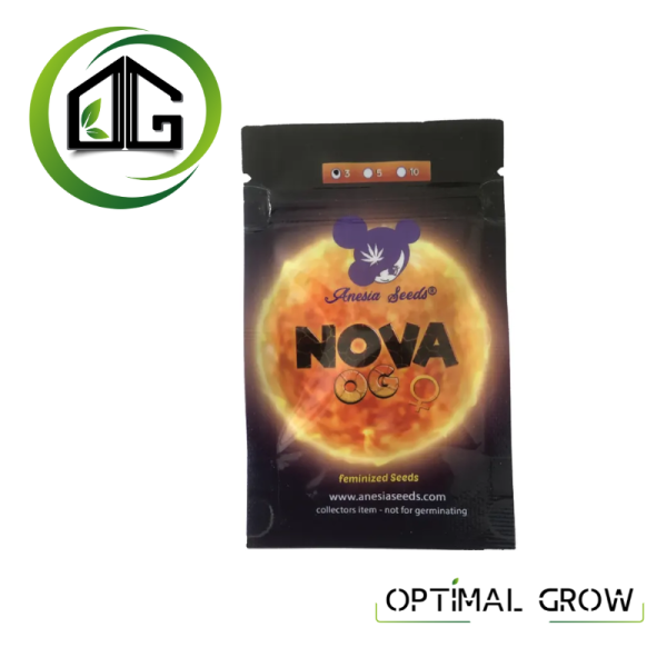 Nova OG de Anesia Seeds – Une des Variétés les Plus Puissantes