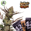 Apple Strudel Auto – fast buds