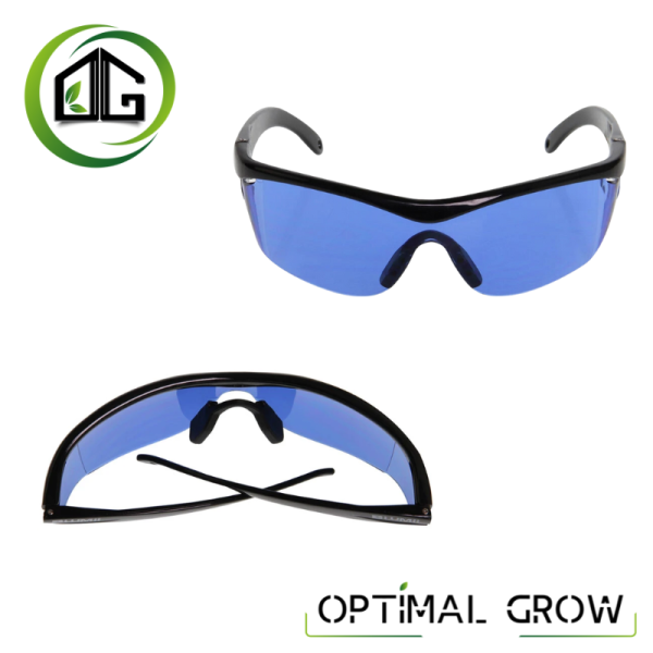 Lunettes de Culture Lumii