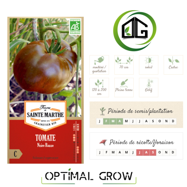 Tomate Noire Russe AB